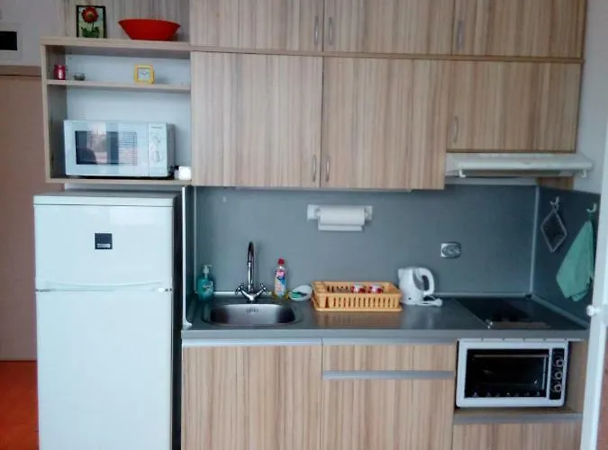 Lägenhet студио бижу Chisarja